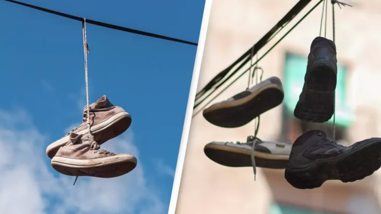 real-reasons-you-real-reasons-you-see-shoes-wrapped-around-power-lines-and-why-people-claim-you-shouldn-t-take-them-down.webp