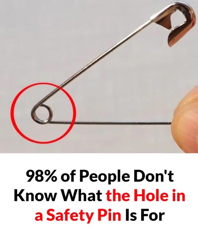 recipej-whats-the-purpose-of-that-tiny-hole-in-a-safety-pin.jpg