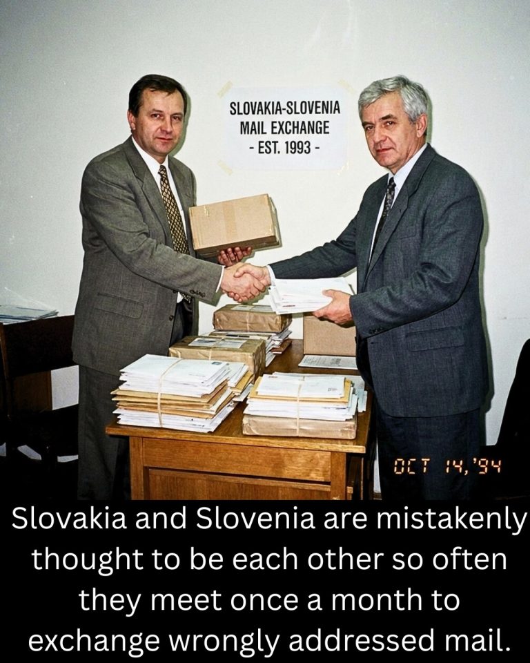 image-13709cd5-806f-4ae8-bd66-1b198644c2c91