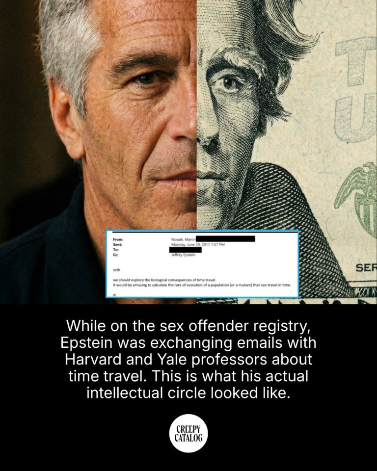 articleops-1772880778881