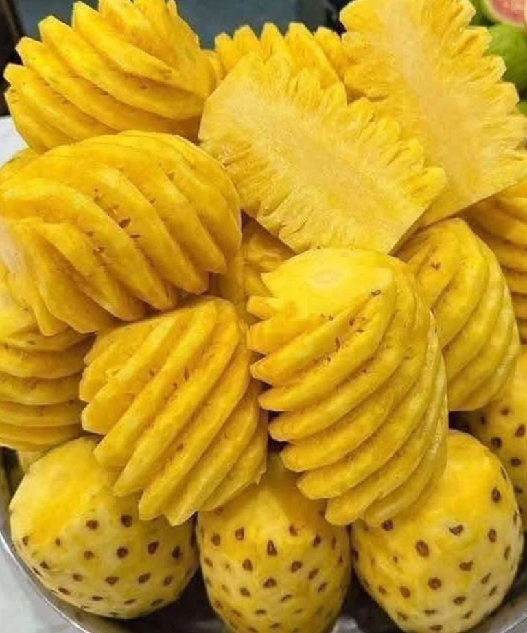 articleops-1773407154415