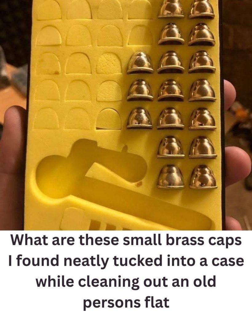 articleops-1773407270606 articleops-1773407270606