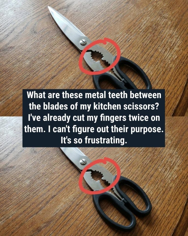 articleops-1773407863556
