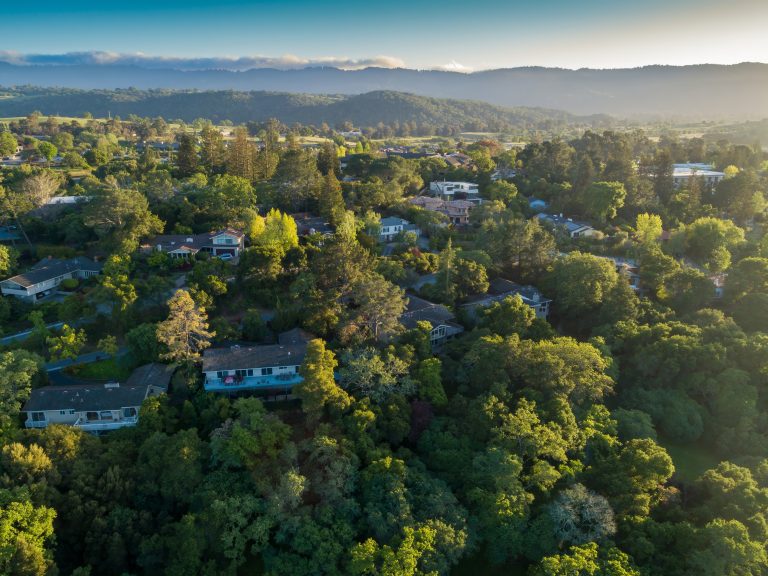 Aerial view of homes nestled among trees in a residential neighborhood in California, USA. The photo showcases the beauty of suburban living. Menlo Park, California, USA