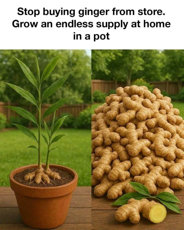 articleops-1773965271431