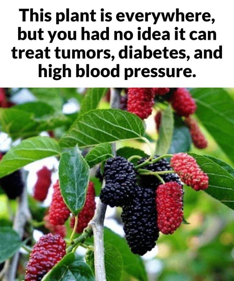 image-f1b9f3a5-f0c1-4e14-bc34-ab9e8b0c774a1