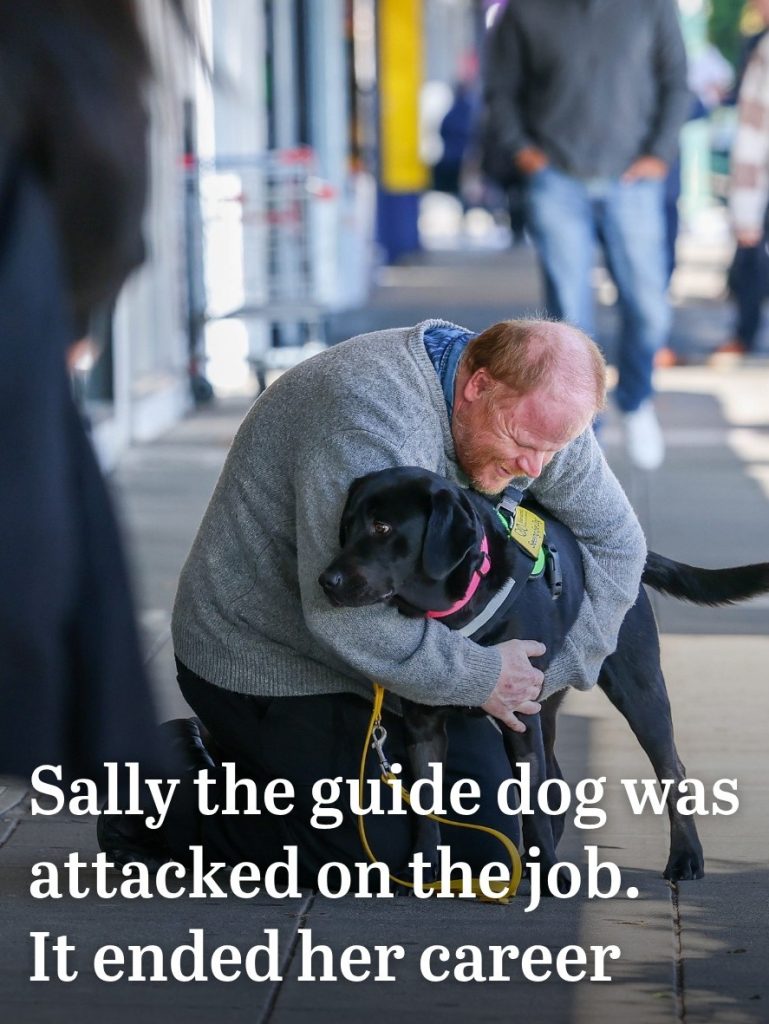 A Blind Man Lost His Guide Dog’s Confidence After a Terrifying Attack Now He’s Fighting to Change the Law