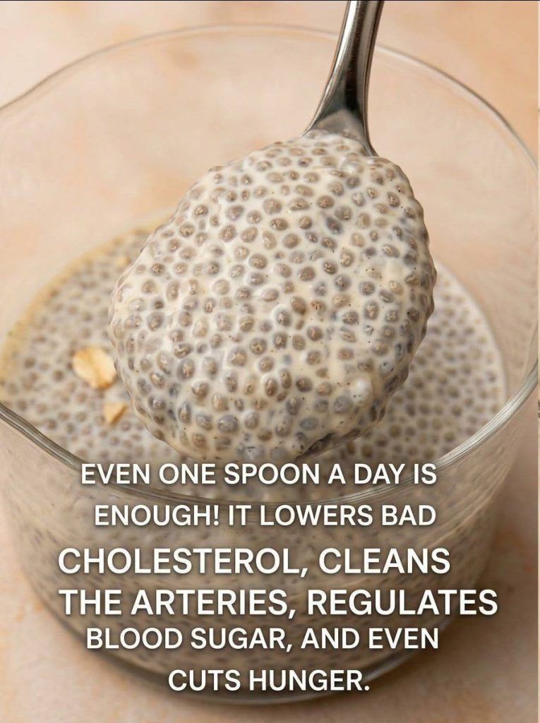 The Creamy Chia Pudding Seniors Are Falling in Love With Easy, Healthy, and Ready Overnight