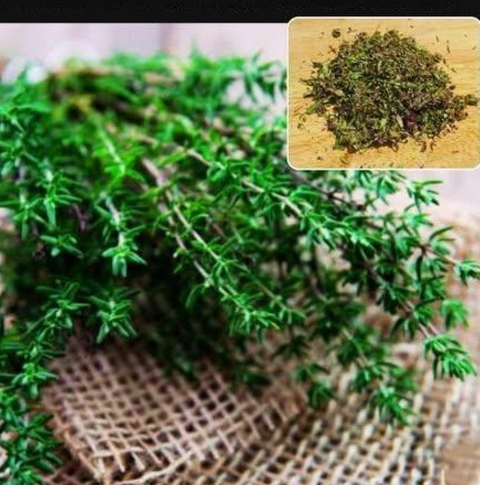 Why Every Garden Should Have Thyme The Fragrant Herb with Remarkable Benefits