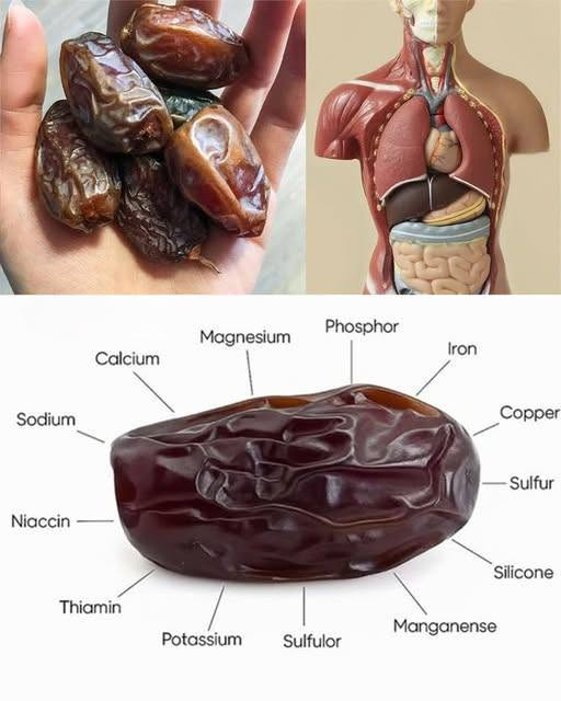 Could Eating Just a Few Dates a Day Improve Your Health? Discover the Surprising Benefits of Nature’s Sweetest Superfood