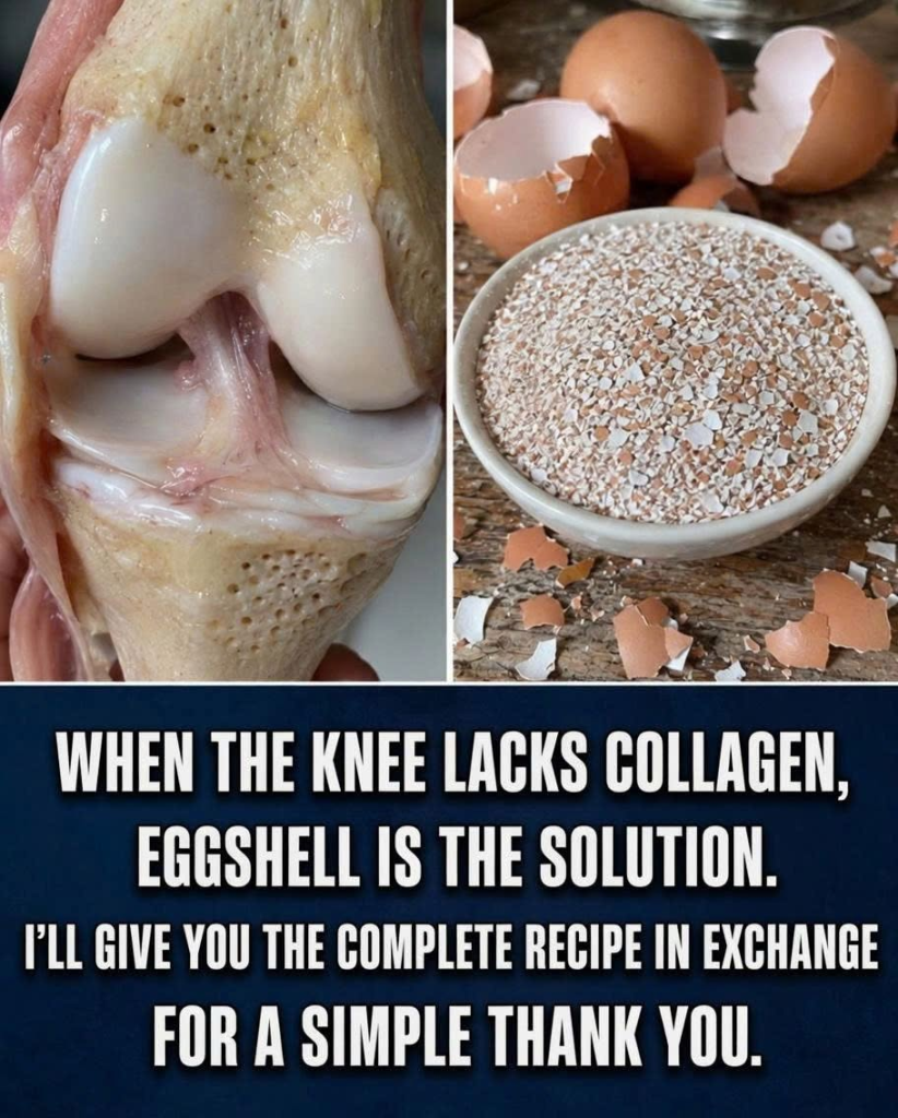 Could the Part of the Egg You Throw Away Be One of Nature’s Richest Sources of Calcium?