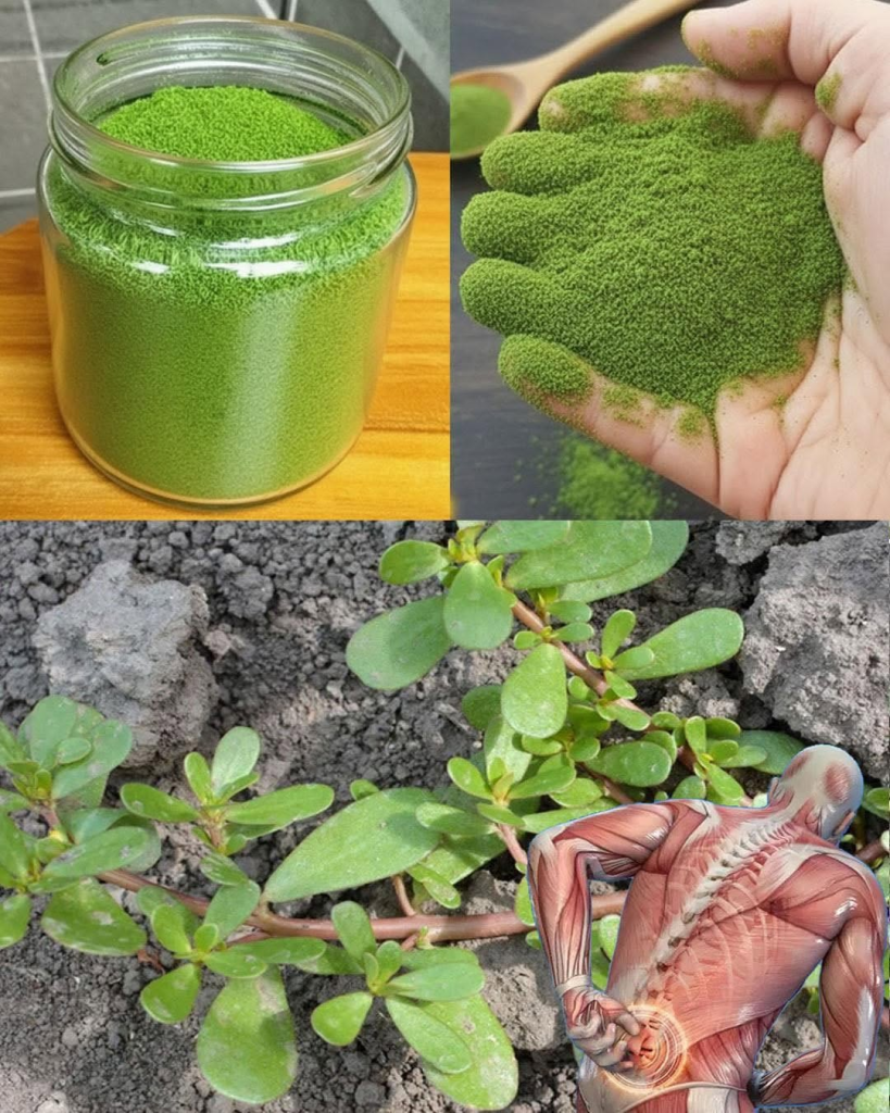 Most People Pull This Plant Out of Their Garden But It Might Be One of the Most Nutritious Greens You Can Eat