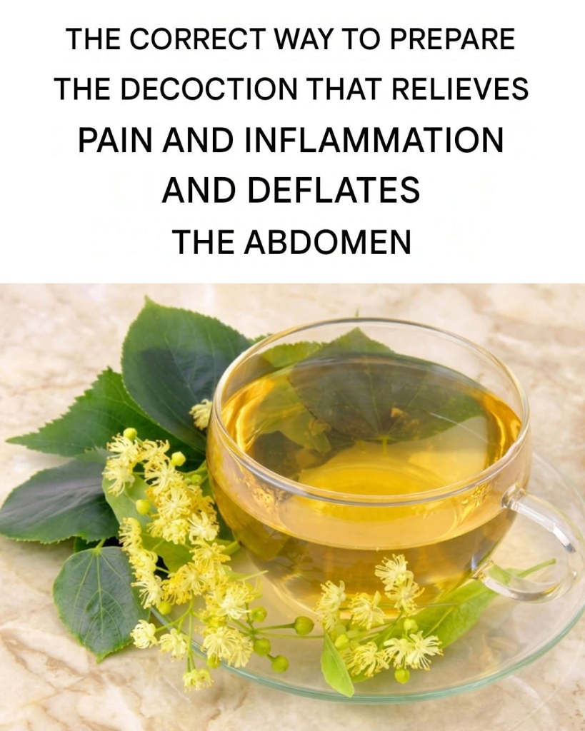 Could This Ancient Tree Tea Help You Relax, Sleep Better, and Soothe Everyday Discomfort?