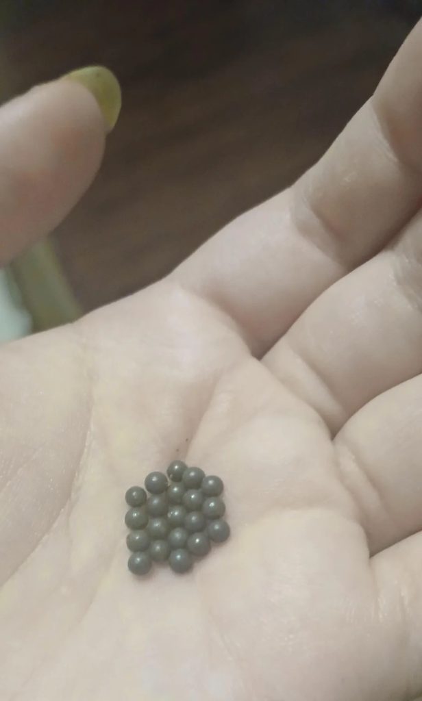 tiny-light-grey-spheres-found-on-my-kitchen-floor-i-live-in-v0-8j9wq7547s4h1 tiny-light-grey-spheres-found-on-my-kitchen-floor-i-live-in-v0-8j9wq7547s4h1