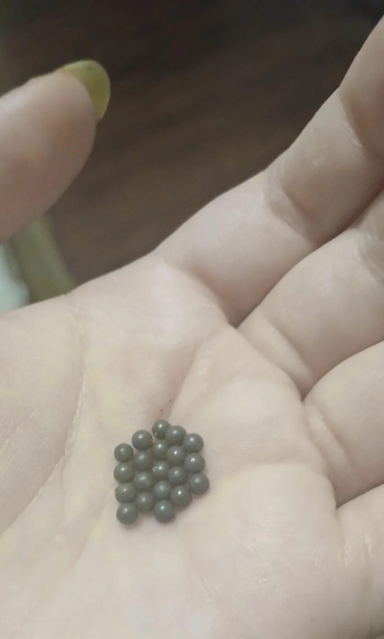 tiny-light-grey-spheres-found-on-my-kitchen-floor-i-live-in-v0-8j9wq7547s4h1