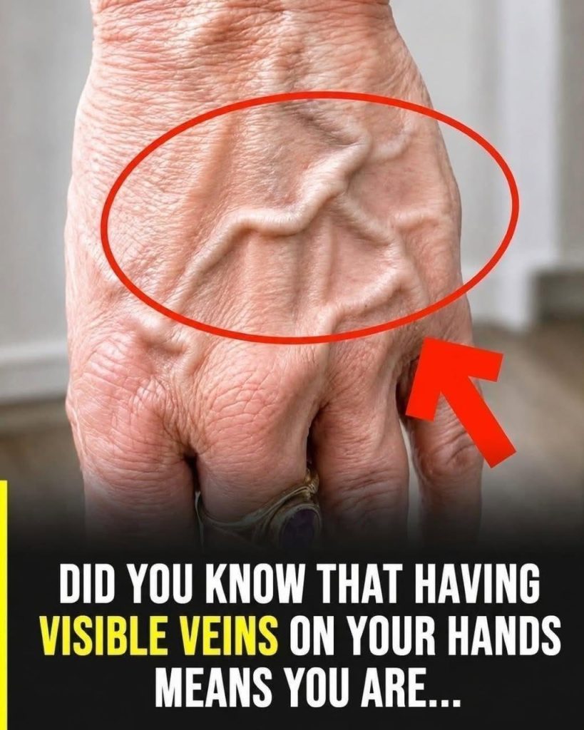 veins veins