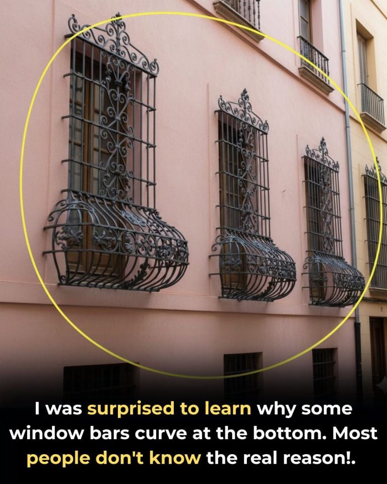 Why Some Window Bars Have a “Potbelly” And What Those Curves Are Really For…